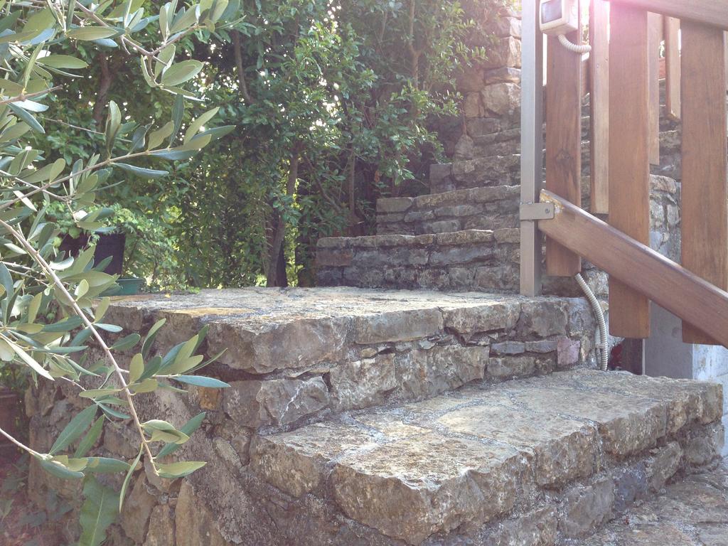 Agriturismo La Rosa Canina Bed and Breakfast Lerici Exterior foto