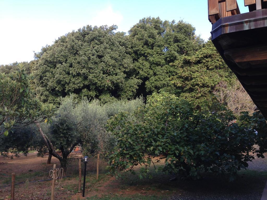 Agriturismo La Rosa Canina Bed and Breakfast Lerici Exterior foto