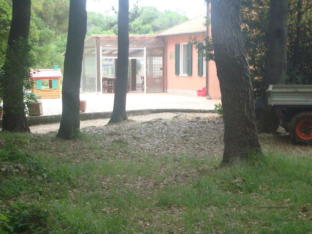 Agriturismo La Rosa Canina Bed and Breakfast Lerici Exterior foto